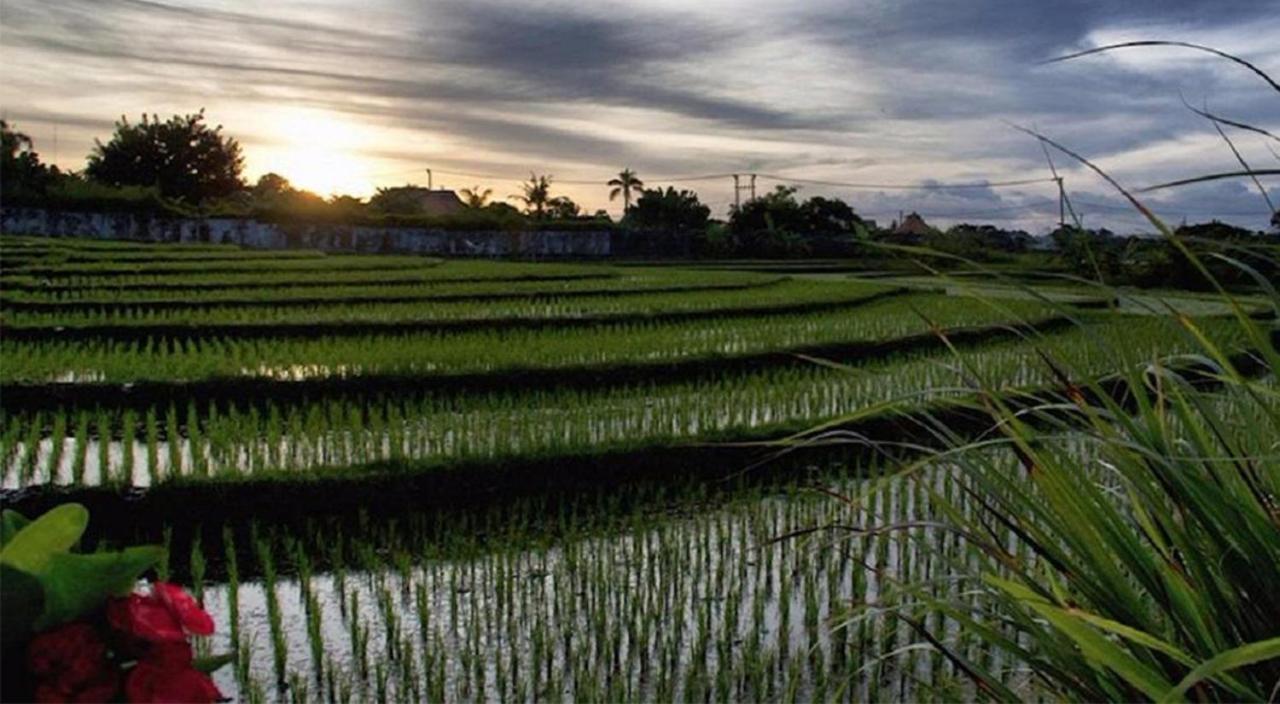 Ngeluwungan Boutique Hostel Canggu Dış mekan fotoğraf