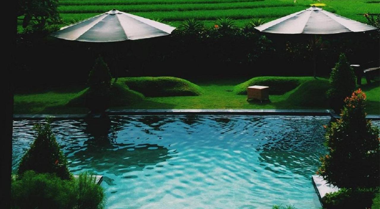 Ngeluwungan Boutique Hostel Canggu Dış mekan fotoğraf