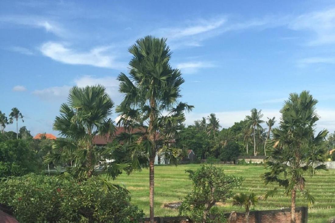 Ngeluwungan Boutique Hostel Canggu Dış mekan fotoğraf