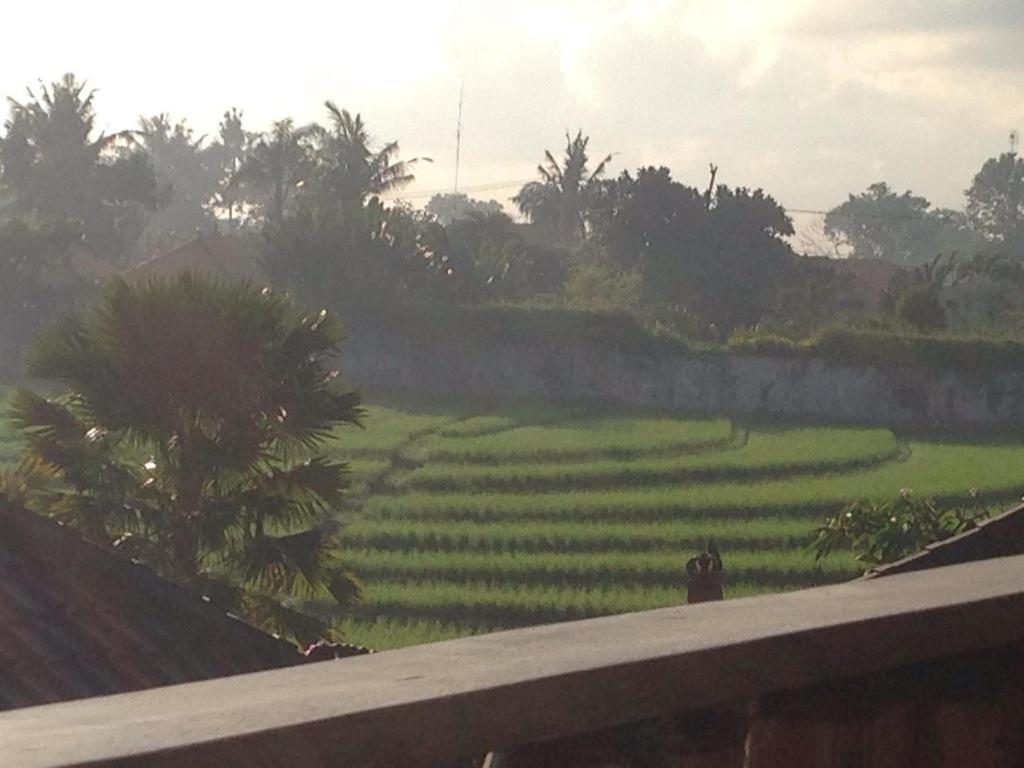 Ngeluwungan Boutique Hostel Canggu Dış mekan fotoğraf